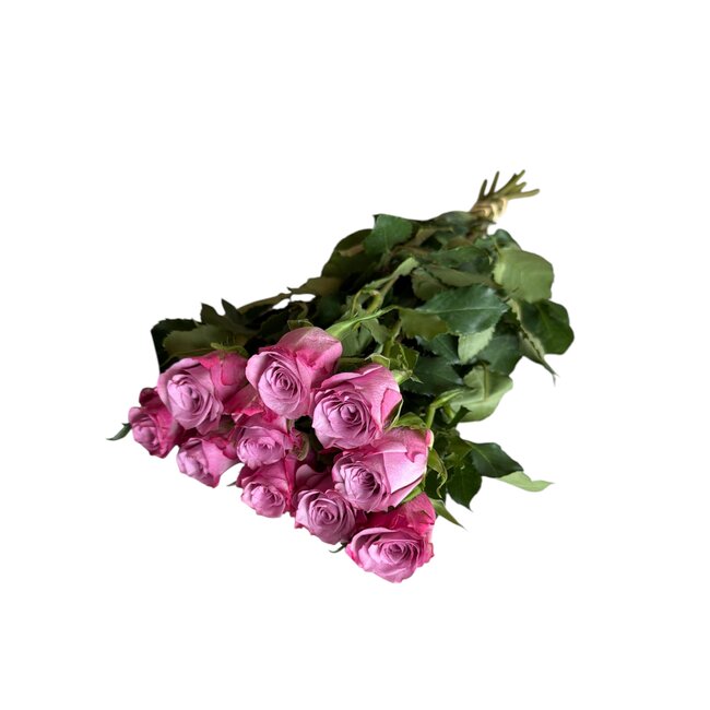 Fresh purple roses "Deep Purple" | ↕ 60cm | Ø 5.5 cm per rose | Per 10 roses