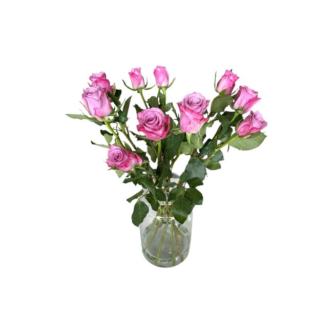 Fresh purple roses "Deep Purple" | ↕ 60cm | Ø 5.5 cm per rose | Per 10 roses