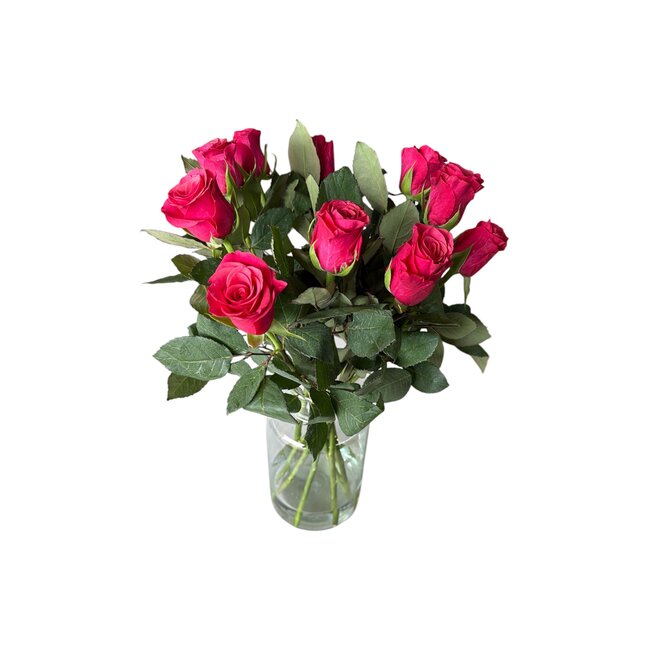 Fresh cherry-coloured roses "Tacazzi Cerise" | ↕ 60 cm | Ø 5.5 cm per rose | Per 10 roses