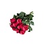 Fresh cherry-coloured roses "Tacazzi Cerise" | ↕ 60 cm | Ø 5.5 cm per rose | Per 10 roses