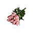 Fresh pink roses "Athena Royal Pink Ash" | ↕ 60 cm | Ø 5.5 per rose | Per 10 roses