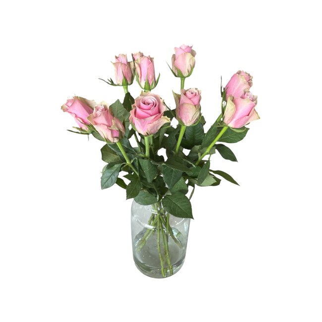 Fresh pink roses "Athena Royal Pink Ash" | ↕ 60 cm | Ø 5.5 per rose | Per 10 roses