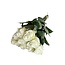 Frische weiße Rosen "Count Down Pure White" | ↕ 60 cm | Ø 5.5 pro Rose | Pro 10 Rosen