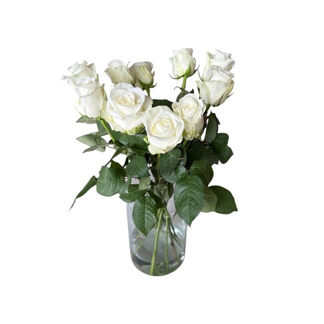 Frische weiße Rosen "Count Down Pure White" | ↕ 60 cm | Ø 5.5 pro Rose | Pro 10 Rosen