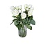 Frische weiße Rosen "Count Down Pure White" | ↕ 60 cm | Ø 5.5 pro Rose | Pro 10 Rosen