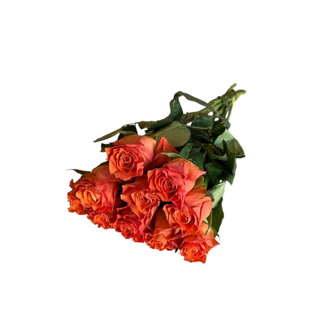 Fresh orange roses "Orange Bright Wave" | ↕ 60 cm | Ø 5.5 per rose | Per 10 roses