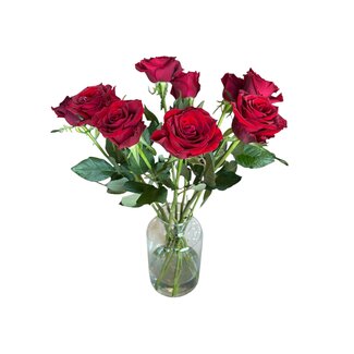 Freshy Fresh red roses "Ever Velvet Red" | ↕ 60cm | Ø 5.5 cm per rose | Per 10 roses
