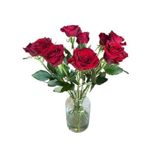 Freshy Roses rouges fraîches "Ever Velvet Red" | ↕ 60cm | Ø 5.5 cm par rose | Par 10 roses