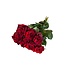 Fresh red roses "Ever Velvet Red" | ↕ 60cm | Ø 5.5 cm per rose | Per 10 roses