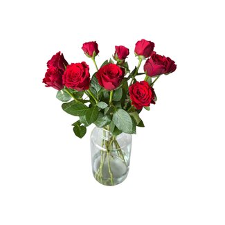 Freshy Fresh red roses "Upper Class Vibrant Red" | ↕ 60cm | Ø 5.5 cm per rose | Per 10 roses