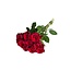 Fresh red roses "Upper Class Vibrant Red" | ↕ 60cm | Ø 5.5 cm per rose | Per 10 roses