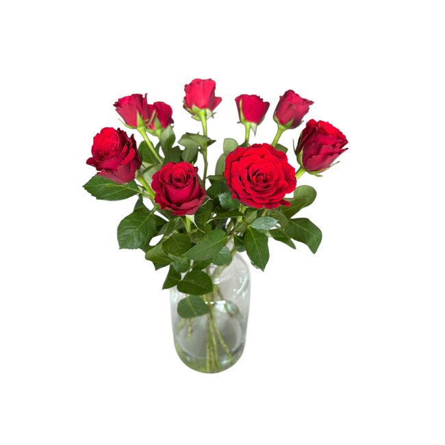 Fresh red roses "Upper Class Vibrant Red" | ↕ 60cm | Ø 5.5 cm per rose | Per 10 roses