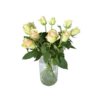 Freshy Fresh green-pink roses "La Belle Pink Green" | ↕ 60cm | Ø 5.5-6cm per rose | Per 10 roses