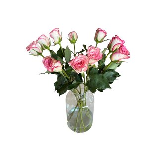 Freshy Fresh cherry-coloured roses "Glow Cerise" | ↕ 60cm | Ø 5.5 cm per rose | Per 10 roses