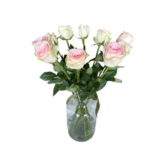 Freshy Fresh cream-pink roses "Esperance Pink Cream" | ↕ 60cm | Ø 5.5 per rose | Per 10 roses