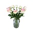 Fresh cream-pink roses "Esperance Pink Cream" | ↕ 60cm | Ø 5.5 per rose | Per 10 roses