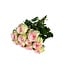 Fresh cream-pink roses "Esperance Pink Cream" | ↕ 60cm | Ø 5.5 per rose | Per 10 roses