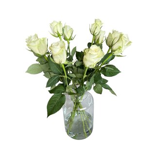 Freshy Fresh cream-white roses "Athena Creamy White" | ↕ 60cm | Ø 5.5 cm per rose | Per 10 roses
