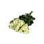 Fresh cream-white roses "Athena Creamy White" | ↕ 60cm | Ø 5.5 cm per rose | Per 10 roses
