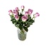 Frische grün-lila Rosen "Samantha's Bridal Green Lilac" | ↕ 60 cm | Ø 4.5 pro Rose | pro 10 Rosen