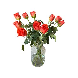 Freshy Fresh orange roses "Patz Orange" | ↕ 60 cm | Ø 5.5 cm per rose | Per 10 roses