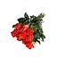 Fresh orange roses "Patz Orange" | ↕ 60 cm | Ø 5.5 cm per rose | Per 10 roses