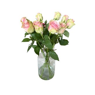 Freshy Fresh cream-pink roses "Belle Rose Creamy Pink" | ↕ 60 cm | Ø 5.5 cm per rose | Per 10 roses