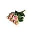 Fresh cream-pink roses "Belle Rose Creamy Pink" | ↕ 60 cm | Ø 5.5 cm per rose | Per 10 roses