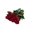 Frische rote Rosen "Explorer Deep Red" | ↕  60cm | Ø 5.5 pro Rose | Pro 10 Rosen bestellbar