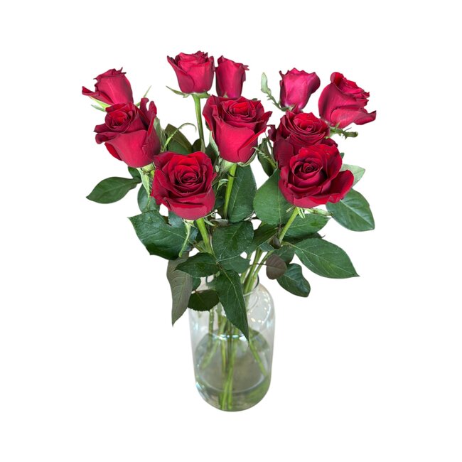 Frische rote Rosen "Explorer Deep Red" | ↕  60cm | Ø 5.5 pro Rose | Pro 10 Rosen bestellbar