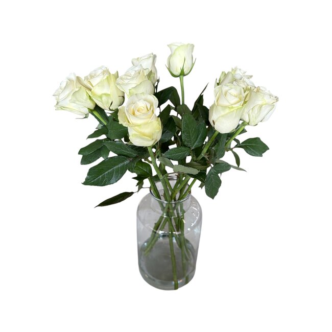 Frische weiße Rosen "Snow Storm White" | ↕ 60 cm | Ø 5.5 cm per Rose | Per 10 Rosen bestellbar