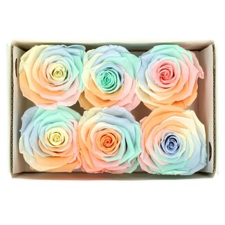 4A Gepreserveerde Rozen | Kleur: Gemengde Kleuren | Diameter 6 centimeter | Per 6 rozen