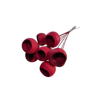 Dutch Dried Red Dried Bell Cup on Stem | Length ± 60 centimetre | Per 10 picks