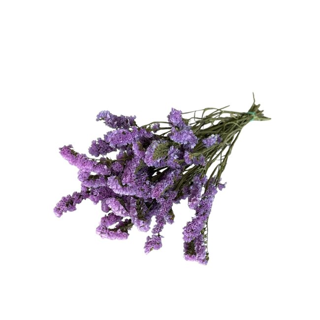 Milka Purple Dried Statice Sinuata | Statice Dried Flowers | Length ± 70 centimetre | Weight 100 gram | Per bunch