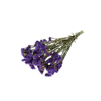 Casa Alegria Purple Dried Statice Sinuata | Statice Dried Flowers | Length ± 70 centimeter | Weight 100 gram | Per bunch