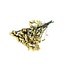 Light yellow Dried Statice Sinuata | Statice Dried Flowers | Length ± 70 centimetre | Weight 100 gram | Per bunch