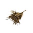 Gold-coloured Preserved Asparagus | Length ± 65 centimeter | Weight 150 gram | Per bunch