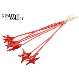 QC Coral-coloured Rattan Lata Star on stick | Lata Star Flat stake | Length ± 50 centimetre | Per 10 stakes