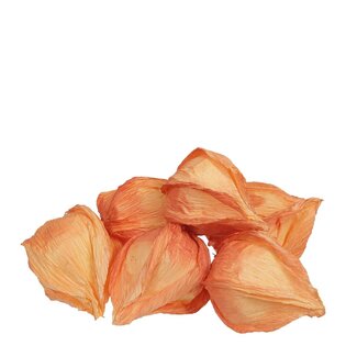 4A Herfst Deco Physalis 5cm x24