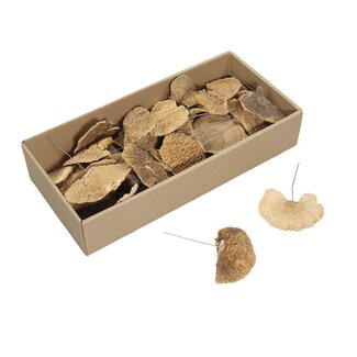 4A Droogdeco Sponge mushroom/draad x40