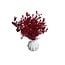BQT Mini Including Vase | Red | 15 cm