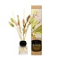 Bergamot Blossom Fragrance Sticks with Dried Flowers | Bergamot Blossom | Contents 50 milliliter | Per bottle