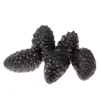 4A Noires Cirées Maritima Pommes de Pin | Décoration de Noël | Longueur 12 centimeter | Par 5 Pommes de Pin