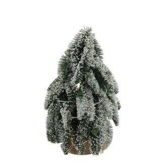 4A Vert Blanc Nobilis Sapin de Noël avec Neige | Décoration de Noël | Diamètre 20 centimeter | Hauteur 33 centimeter | Par Sapin de Noël