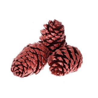 4A Pommes de pin Maritima rouges | Décoration de Noël | Longueur 12 centimeter | Par 3 pommes de pin