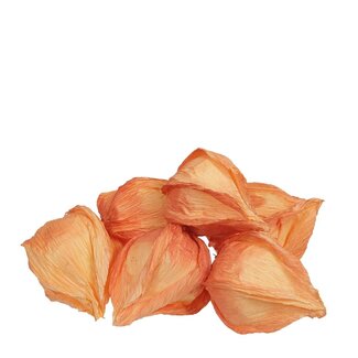 4A Physalis Lampionplant Decoratie | Kleur: Oranje | Natuurlijke Herfstdecoratie | Lengte 5 centimeter | Per 24 lampionnetjes