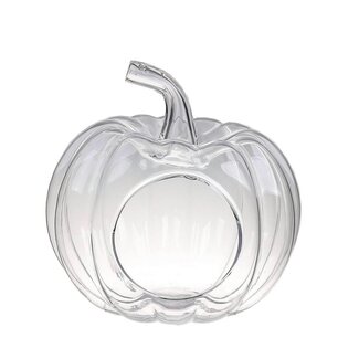 4A Transparent Glass Pumpkin Terrarium | Natural Autumn Decoration | Diameter 23 centimetre | Height 24 centimetre | Per 2 terrariums
