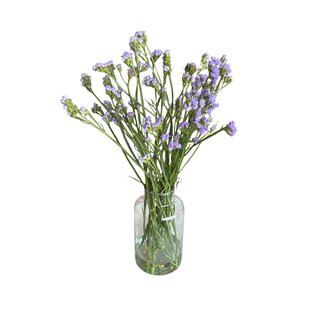 Fresh Lavender-blue Statice Limonium Sinuata | Fresh Flowers | Length ± 70 centimeter | 5 stems per bunch | Per bunch