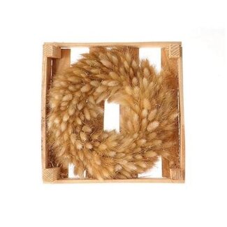 4A Light Brown Lagurus Dried Flowers Wreath | Wreath of Dried Bunny Tails | Diameter 30 centimetre | Per wreath