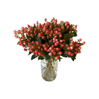 Freshy Verse Hypericum “Sweet Romance” | Kleur: Roze | Verse Bloemen | Lengte ± 50 centimeter | 25 takken per bos | Per bos